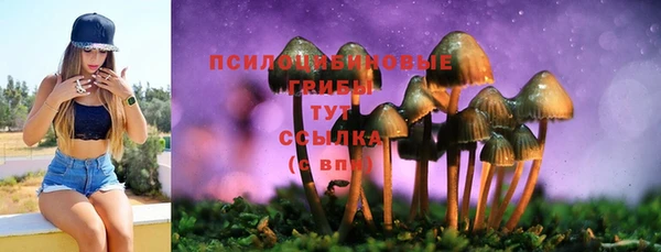 бошки Белоозёрский