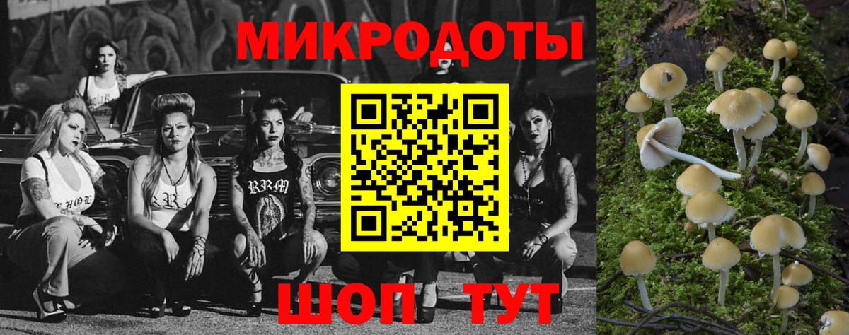 Галлюциногенные грибы Psilocybe Улан-Удэ