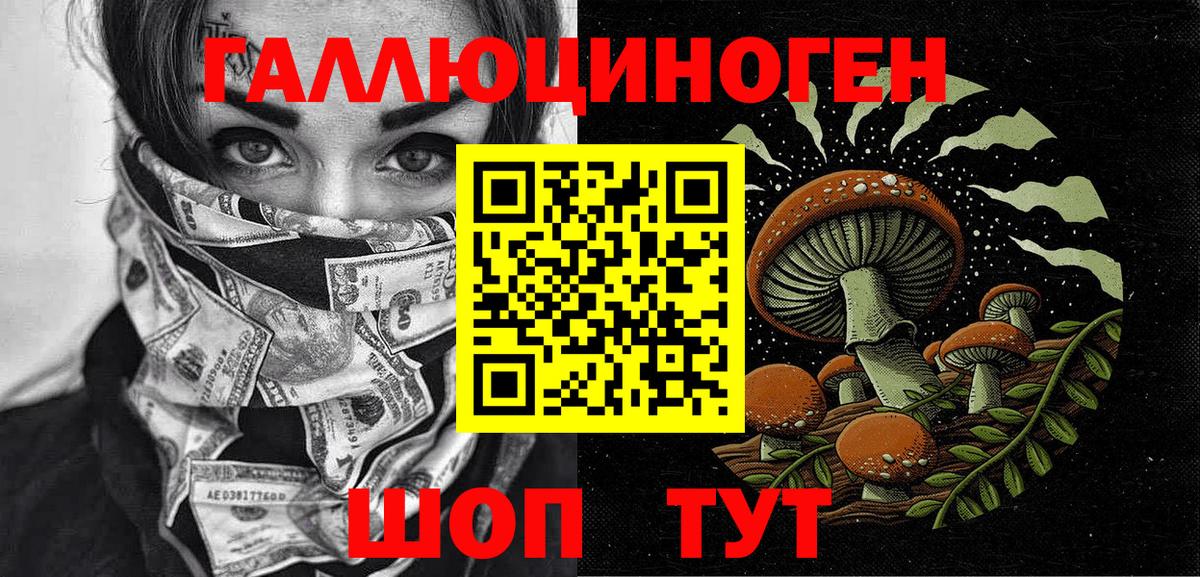 Улан-Удэ  где найти   Вход с VPN  Псилоцибиновые грибы Magic Shrooms  Галлюциногенные грибы Psilocybe 